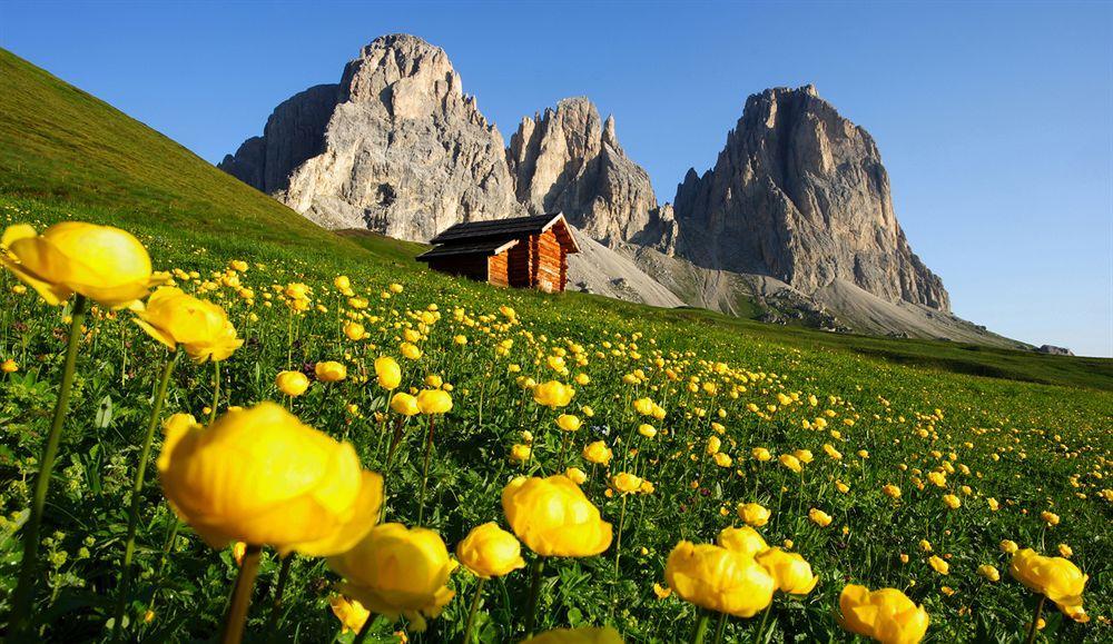 Residence Rododendro Col de San Pellegrino Extérieur photo